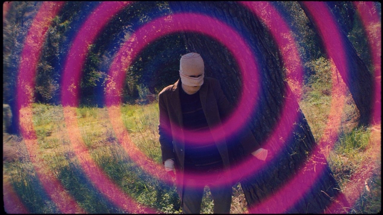 Thumbnail 5 von 11