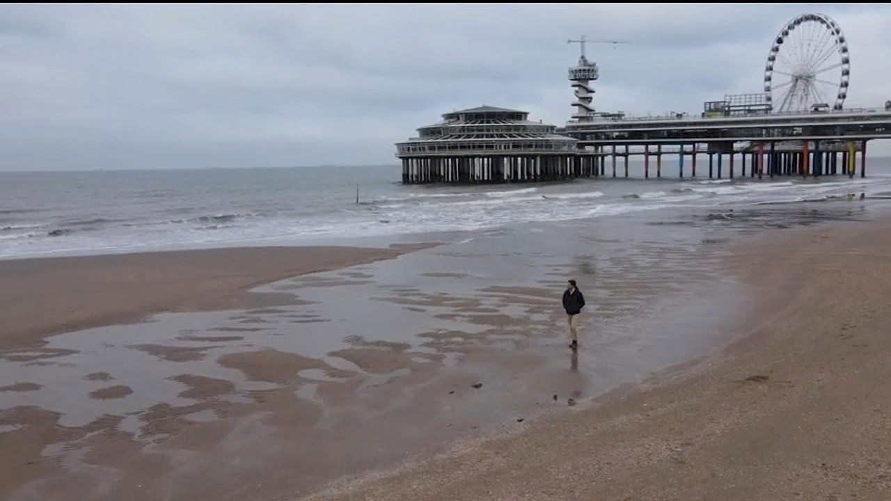 Thumbnail 5 von 11