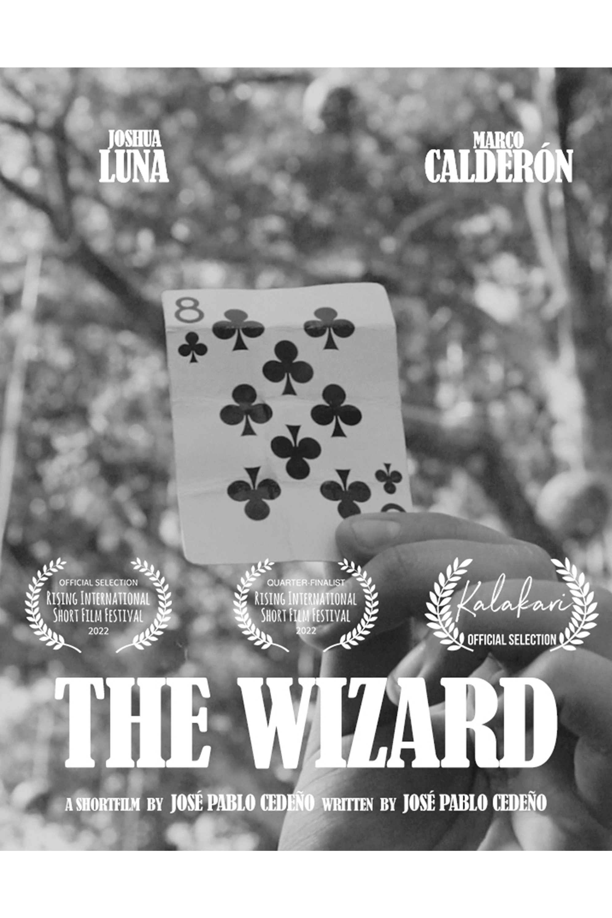 The Wizard - Bild 1 von 4