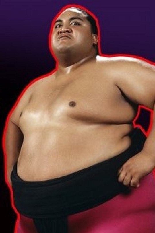 Biography: Yokozuna - Bild 1 von 2