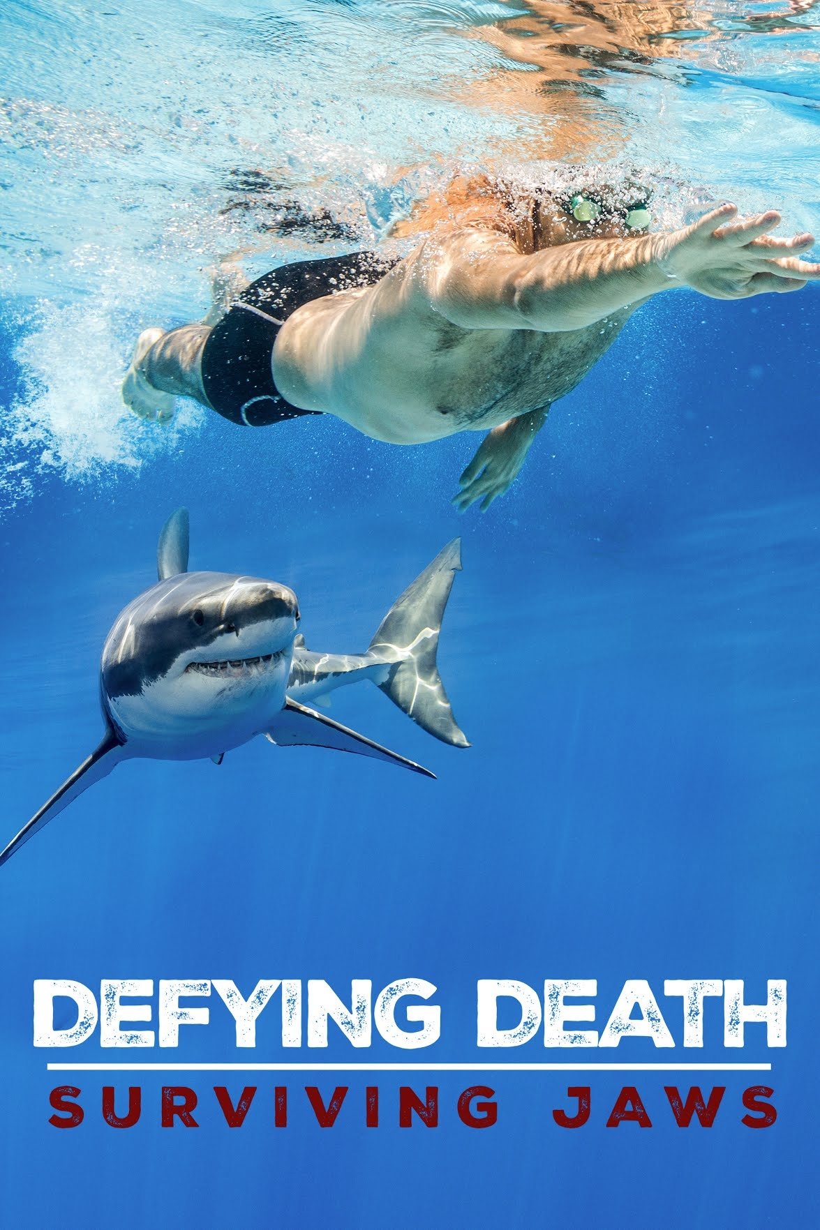 Defying Death: Surviving Jaws - Bild 1 von 2