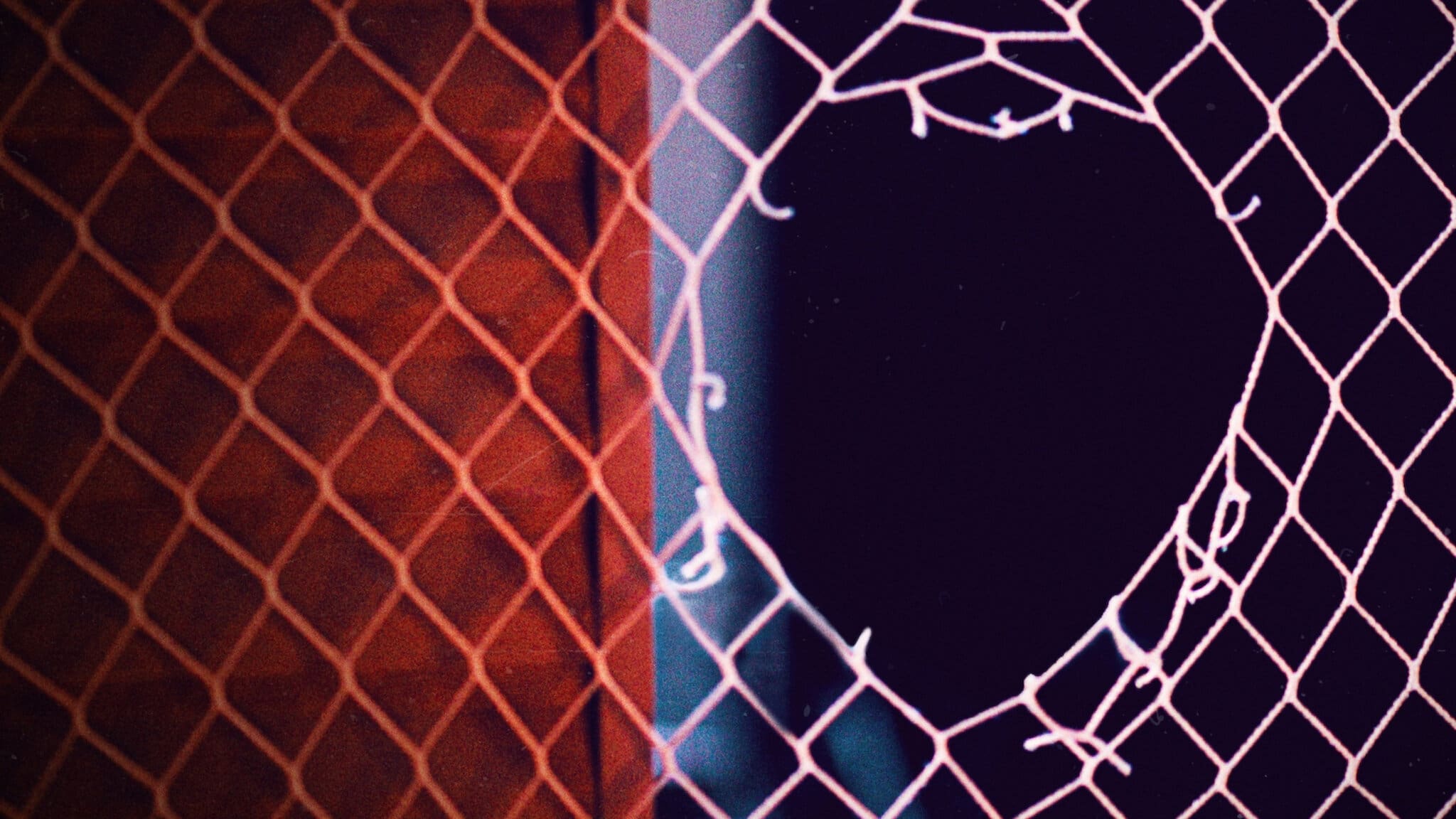 Thumbnail 7 von 9