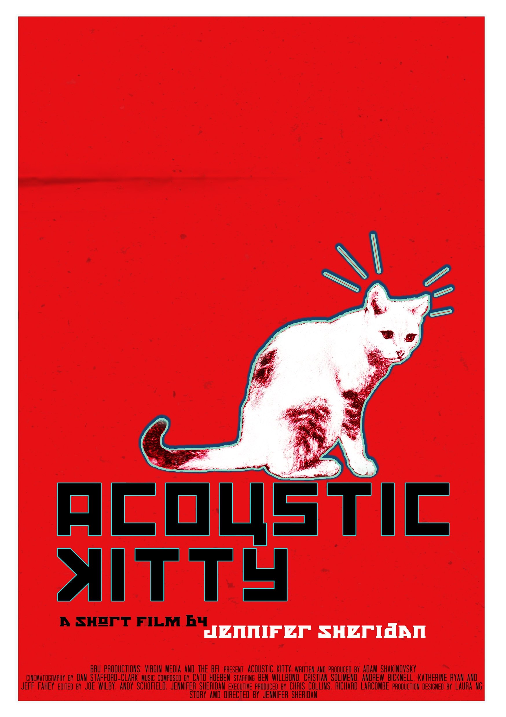 Acoustic Kitty - Bild 1 von 2