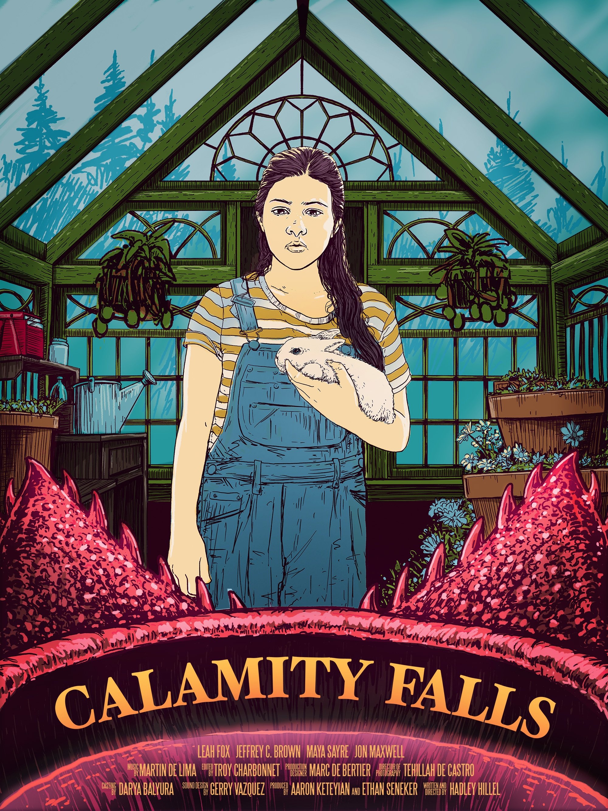 Calamity Falls - Bild 1 von 2