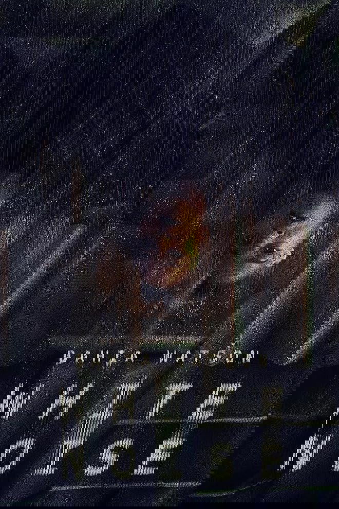 White Noise - Bild 1 von 2