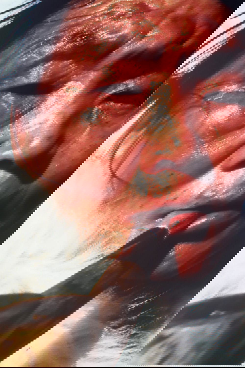 Anna - Bild 1 von 5