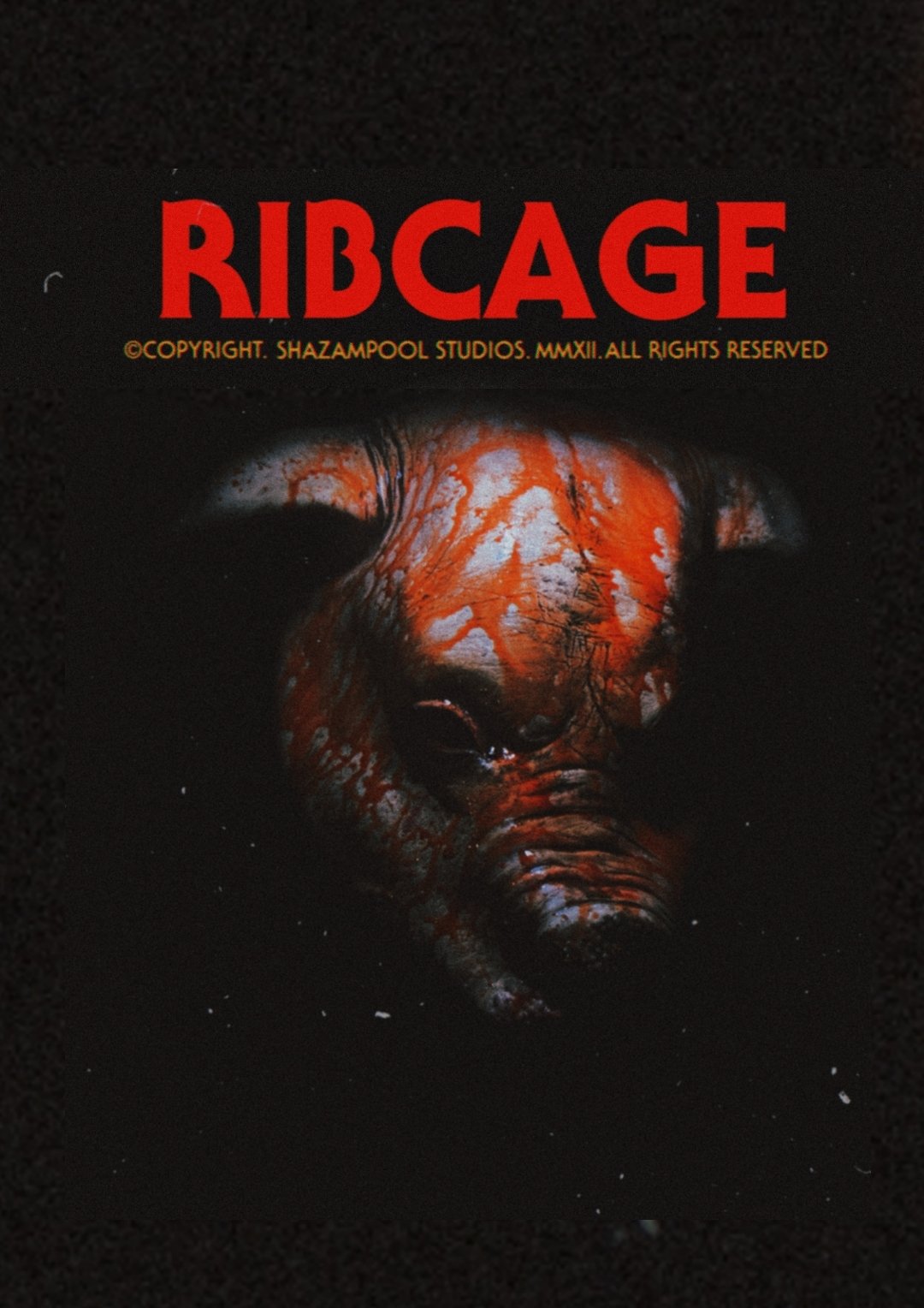 Ribcage - Bild 1 von 2