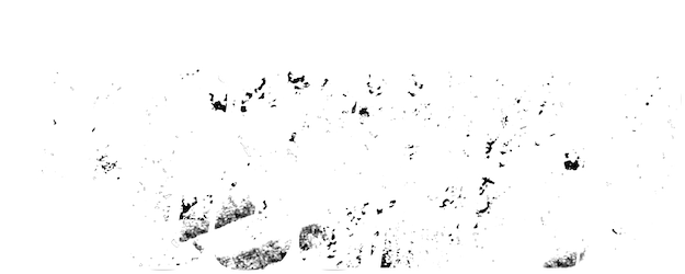 Thumbnail 7 von 11