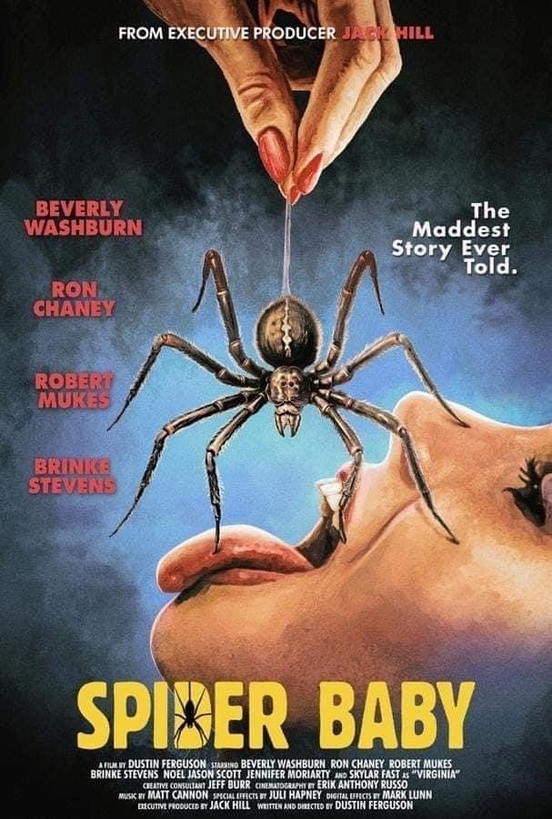 Spider Baby - Bild 1 von 3