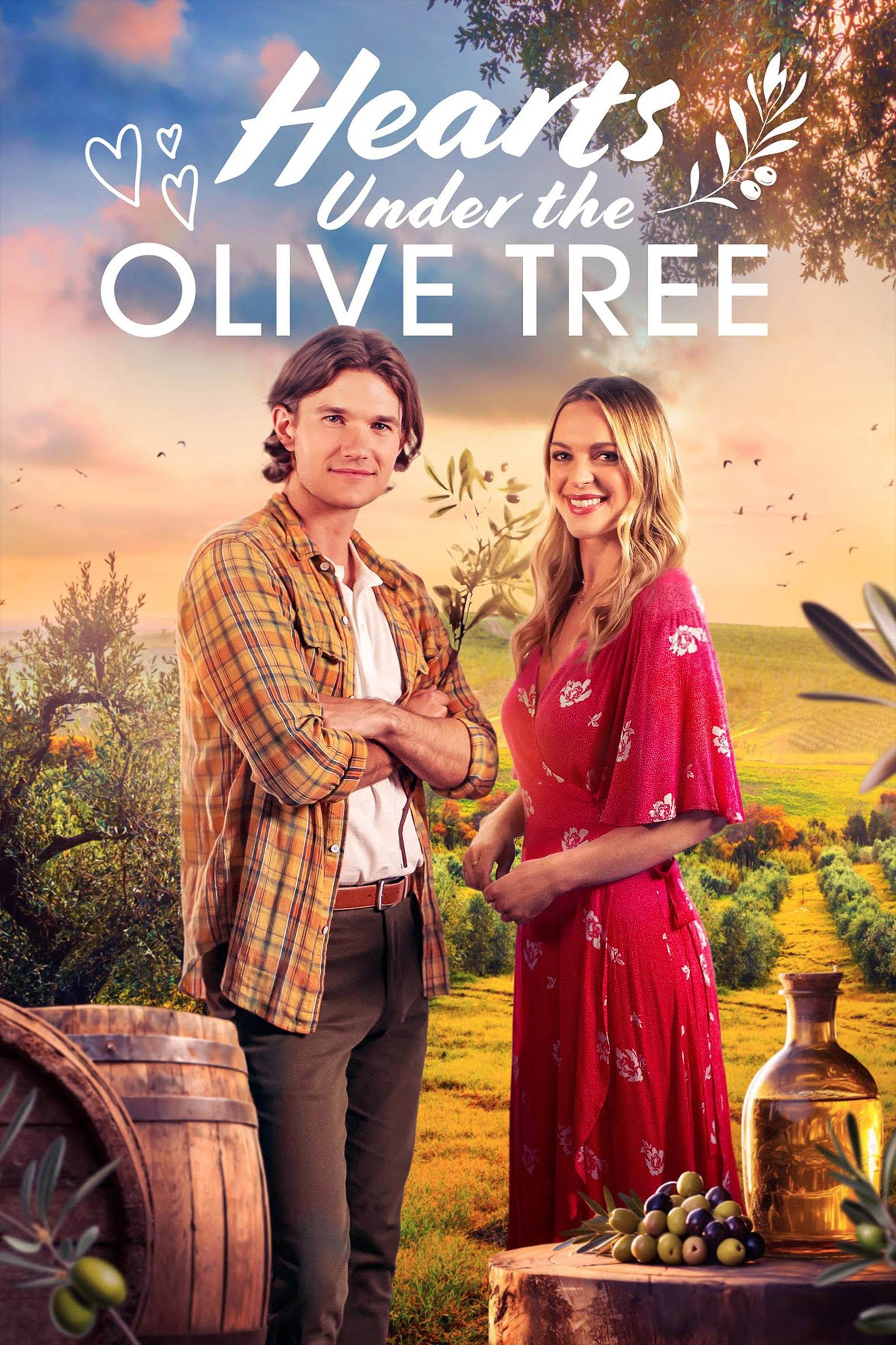 Hearts Under the Olive Tree - Bild 1 von 8