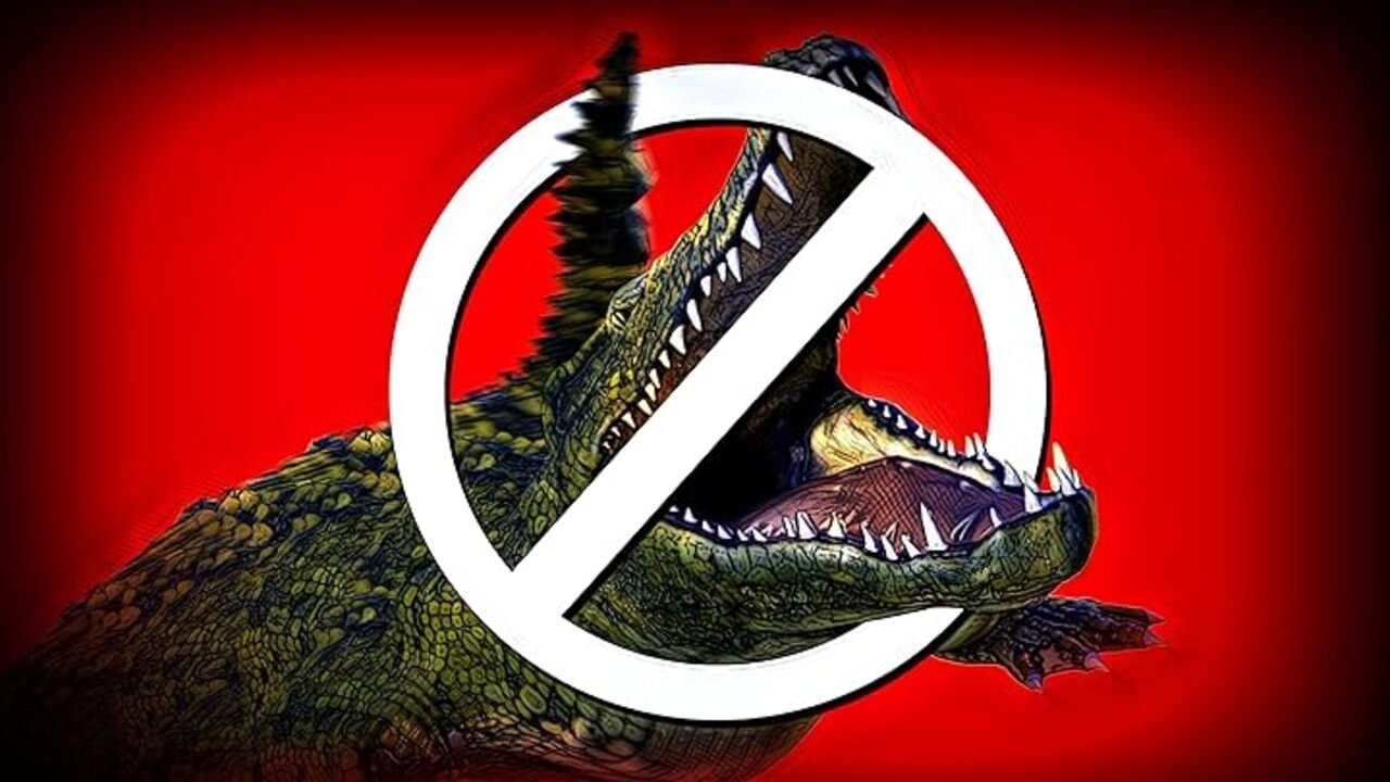 Thumbnail 10 von 11