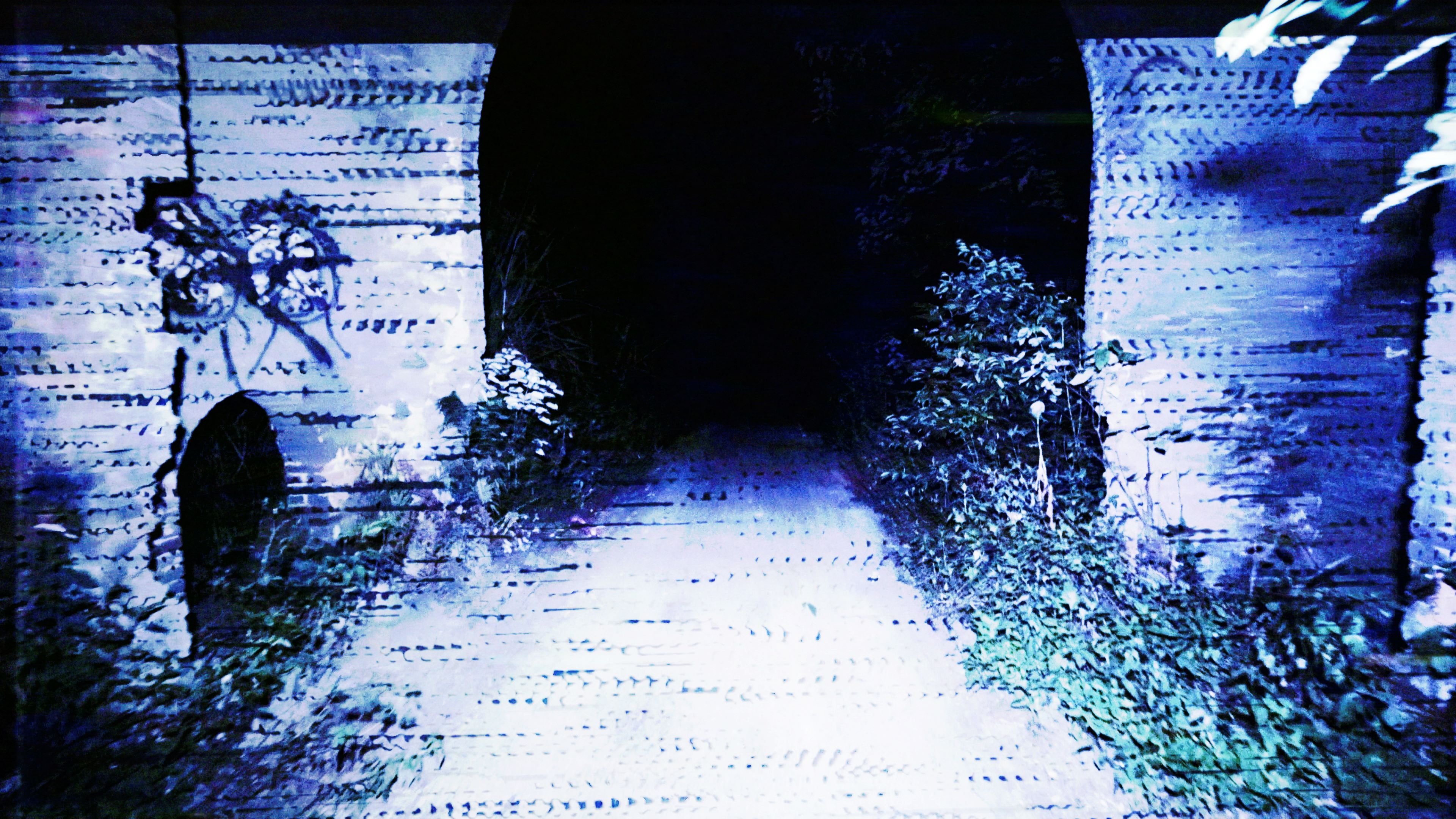 Thumbnail 4 von 4