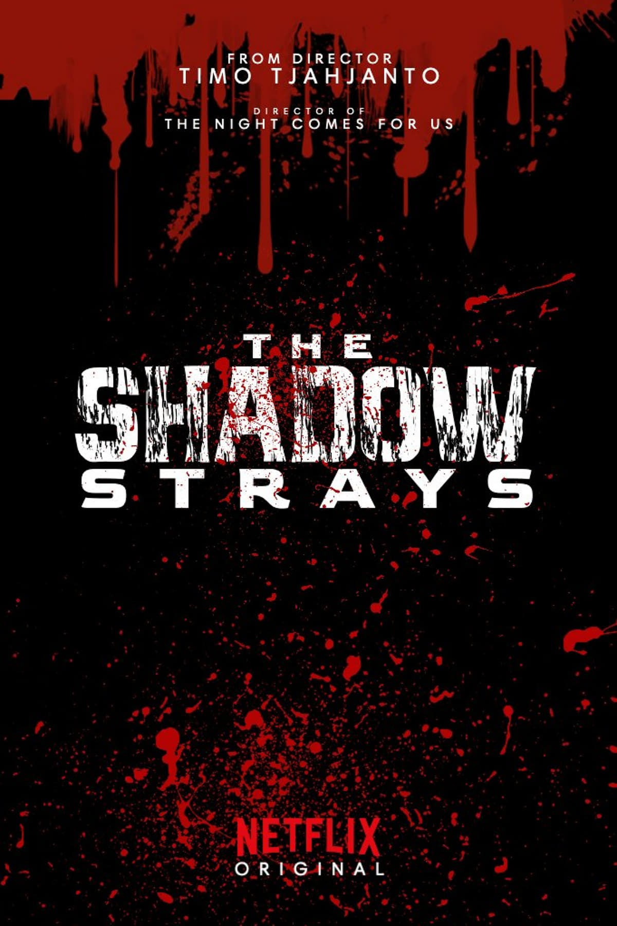 Thumbnail 11 von 11
