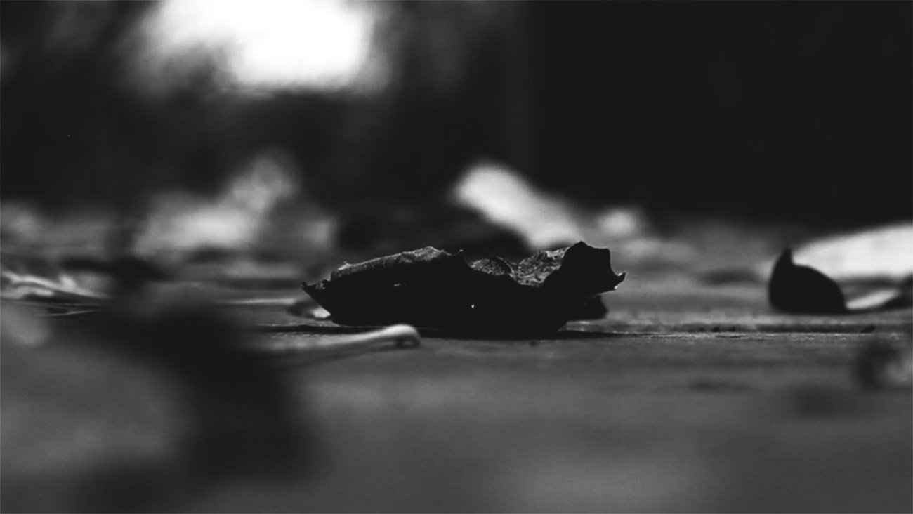 Thumbnail 11 von 11