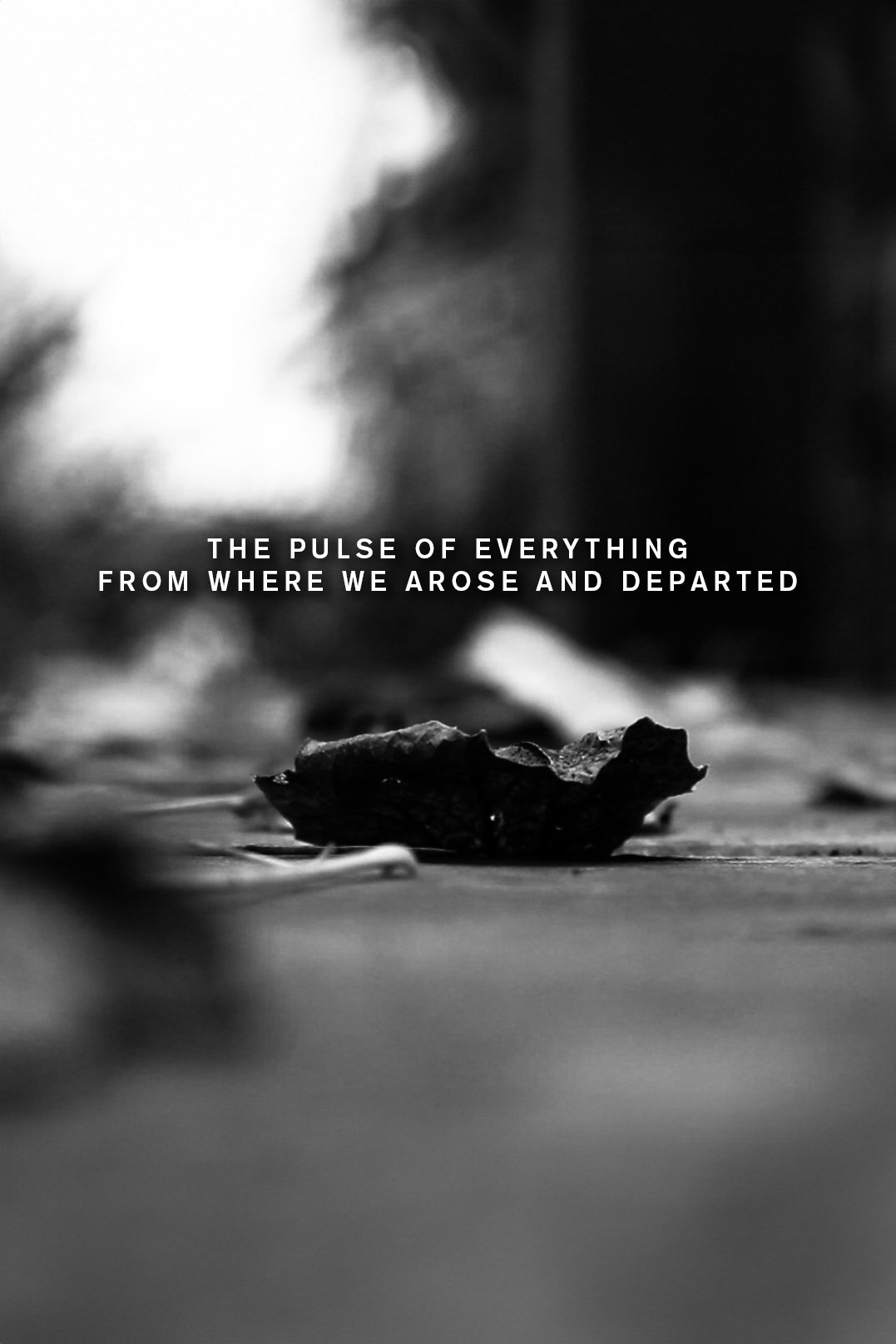 The pulse of everything from where we arose and departed - Bild 1 von 11