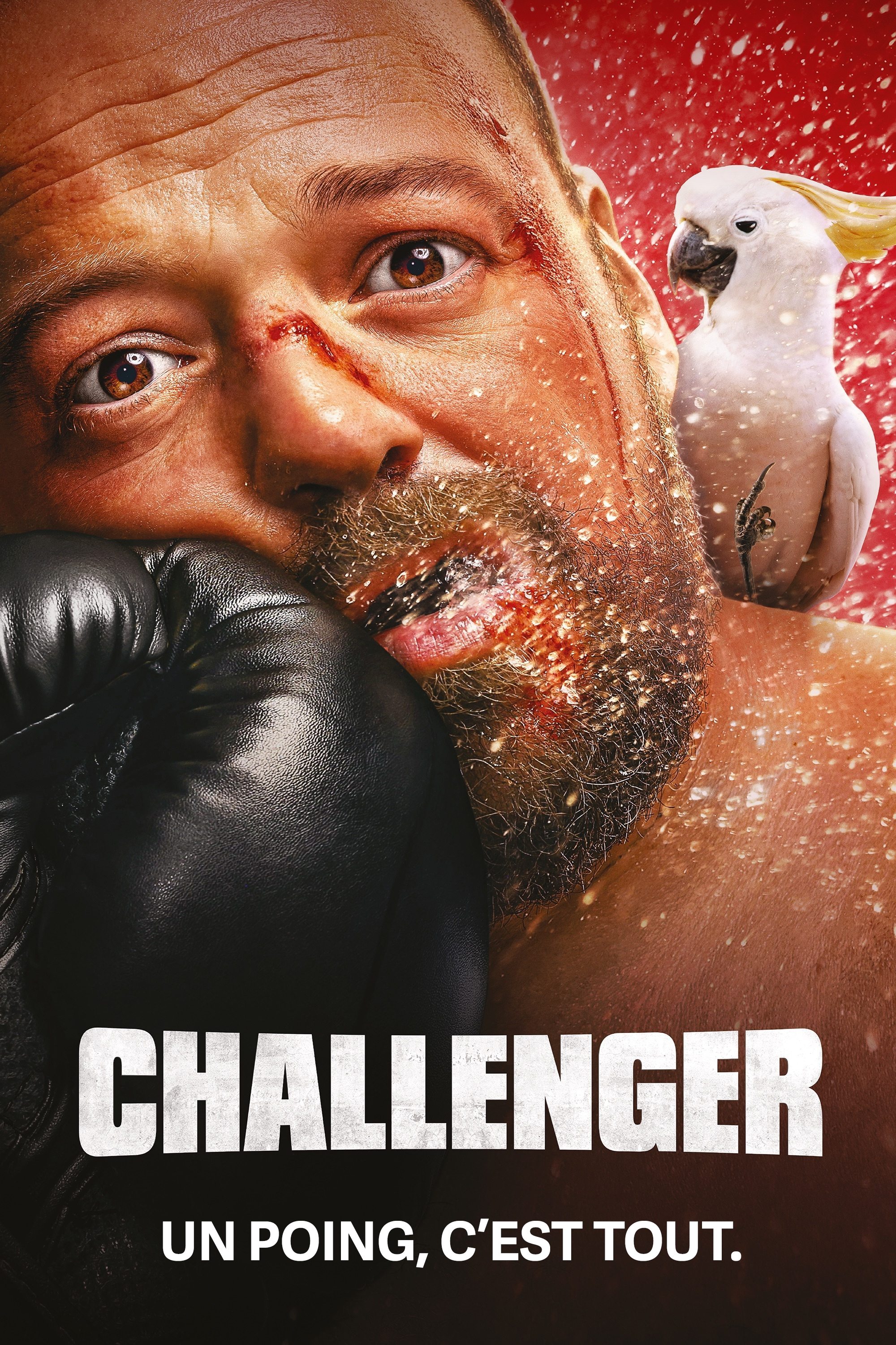 Challenger - Bild 1 von 7