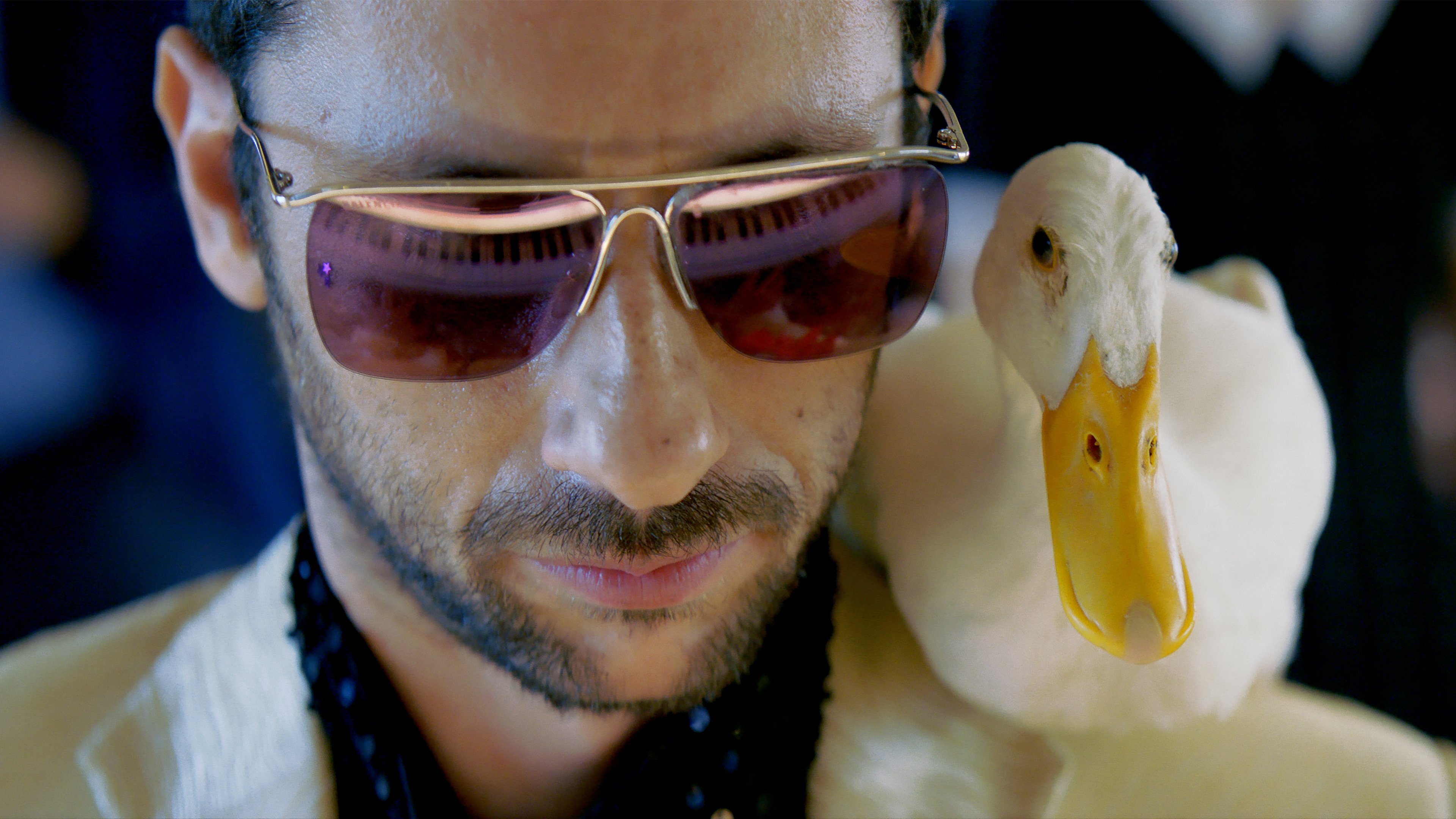 Thumbnail 2 von 5