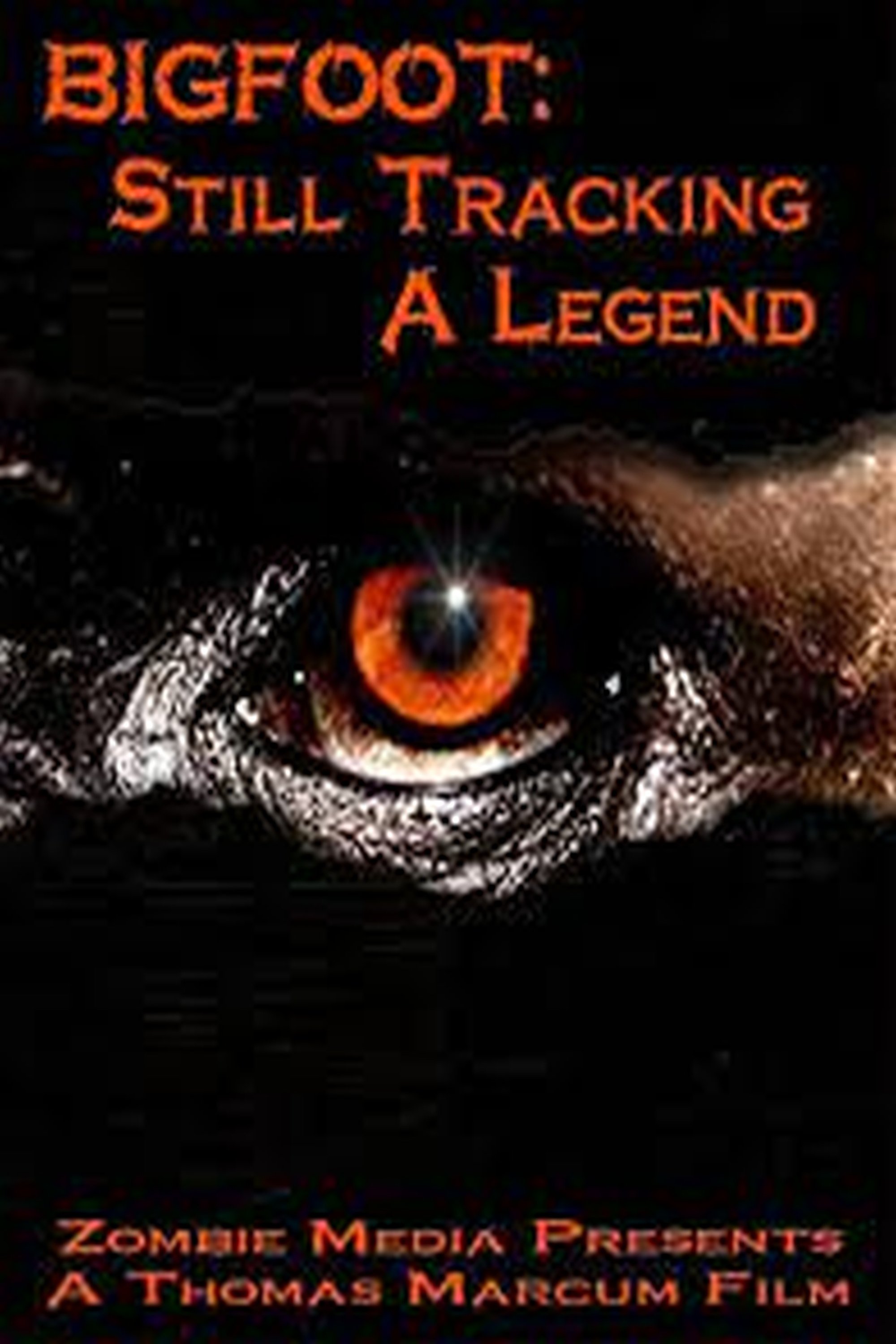 Bigfoot Still Tracking a Legend - Bild 1 von 3