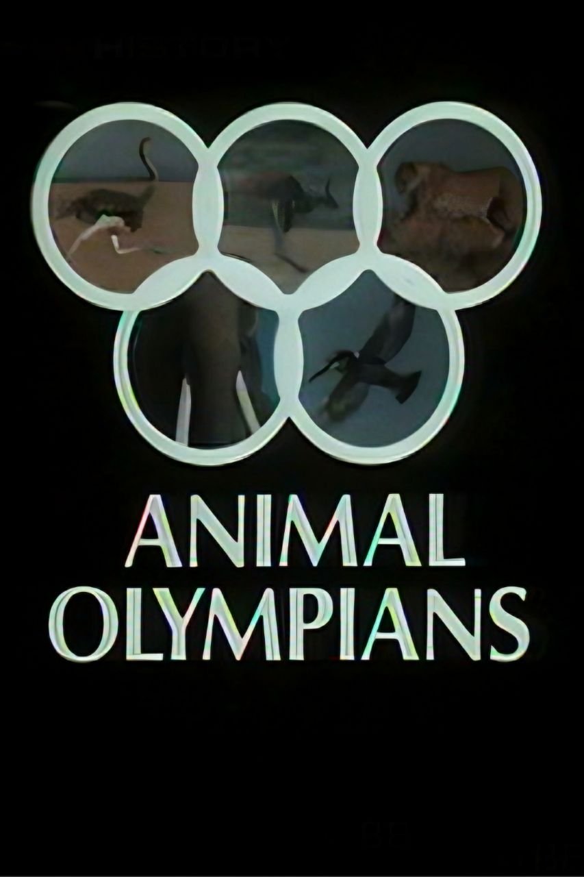 Animal Olympians - Bild 1 von 2