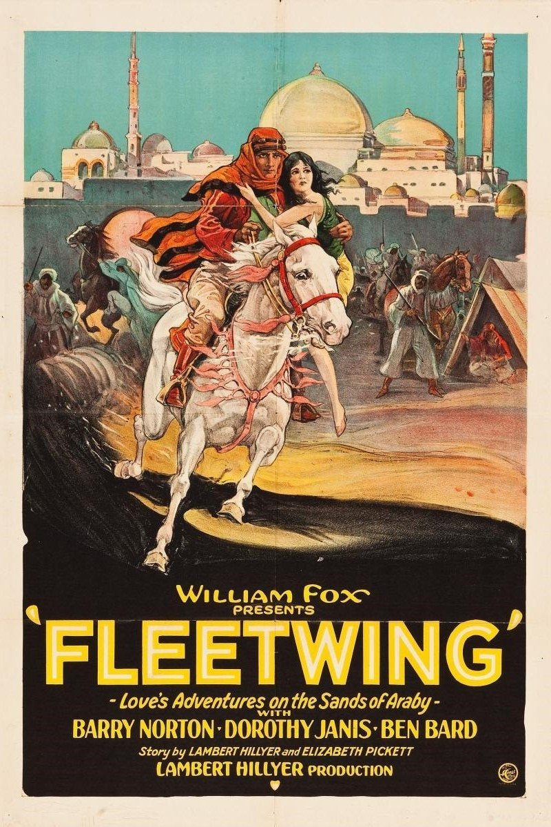Fleetwing - Bild 1 von 2