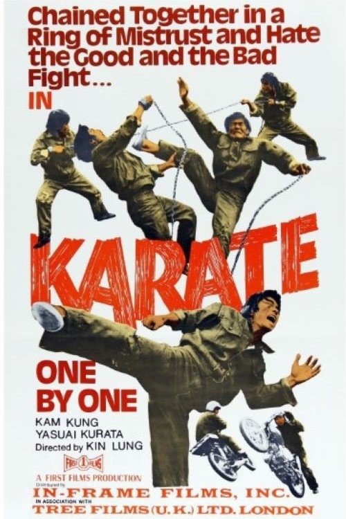 Kung Fu Powerhouse - Bild 1 von 3