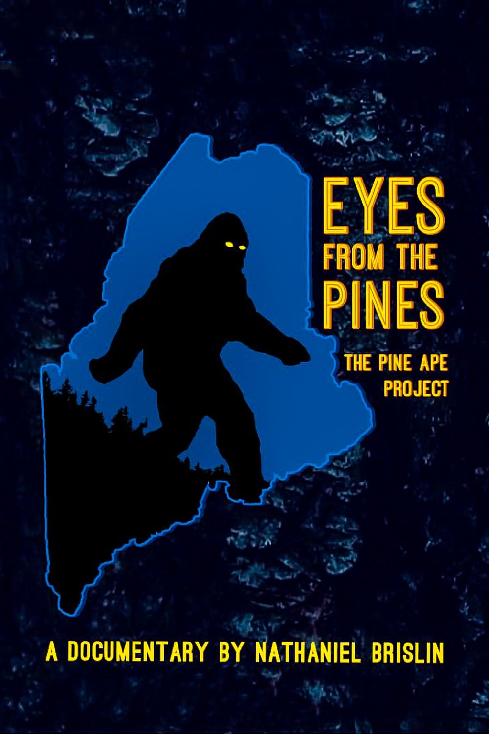 Eyes from the Pines - Bild 1 von 5