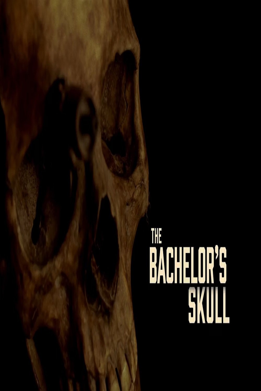 The Bachelor's Skull - Bild 1 von 2