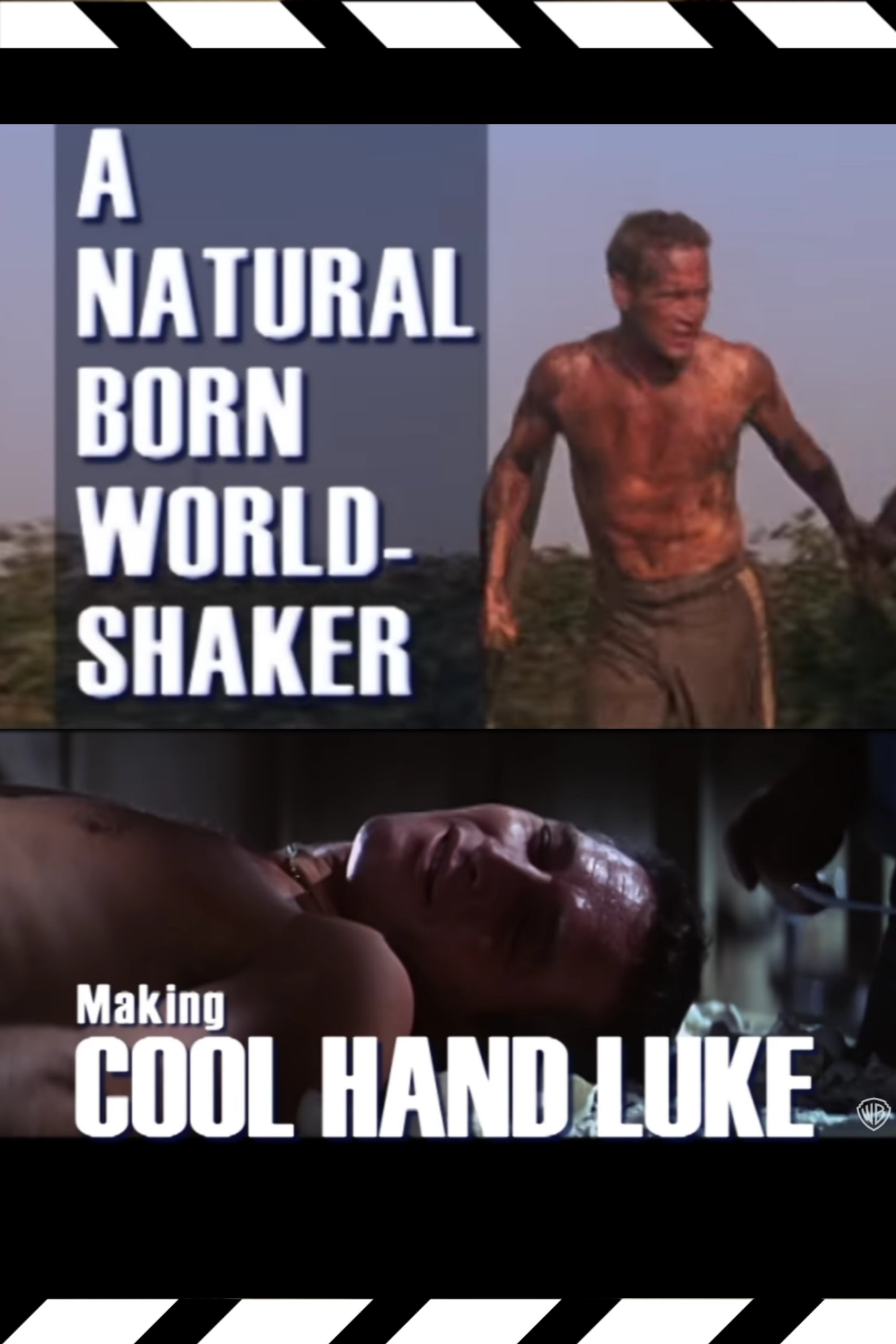 A Natural Born World-Shaker: The Making of 'Cool Hand Luke' - Bild 1 von 2