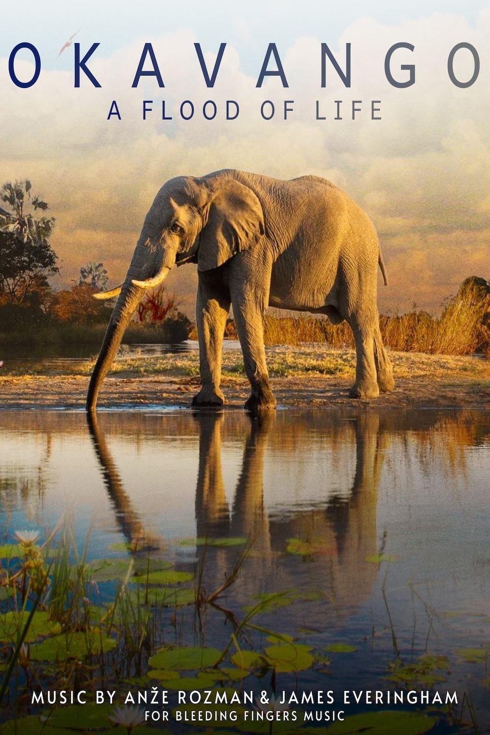 Okavango: A Flood of Life - Bild 1 von 4