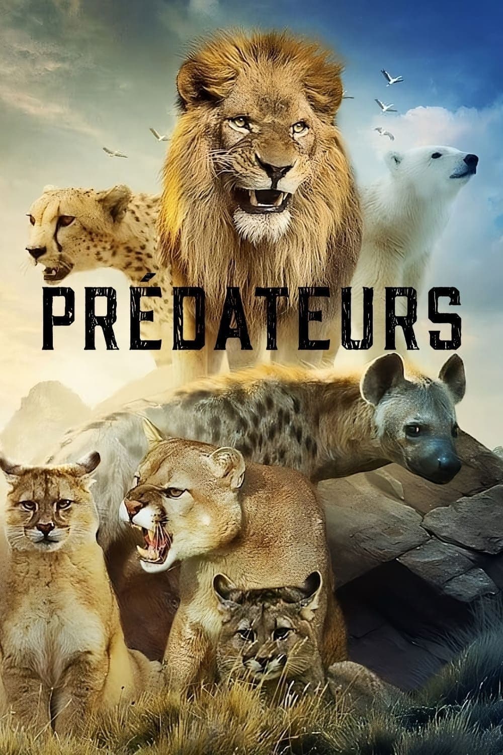 Predators - Bild 1 von 4