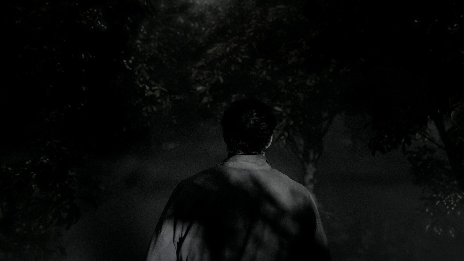 Thumbnail 9 von 11