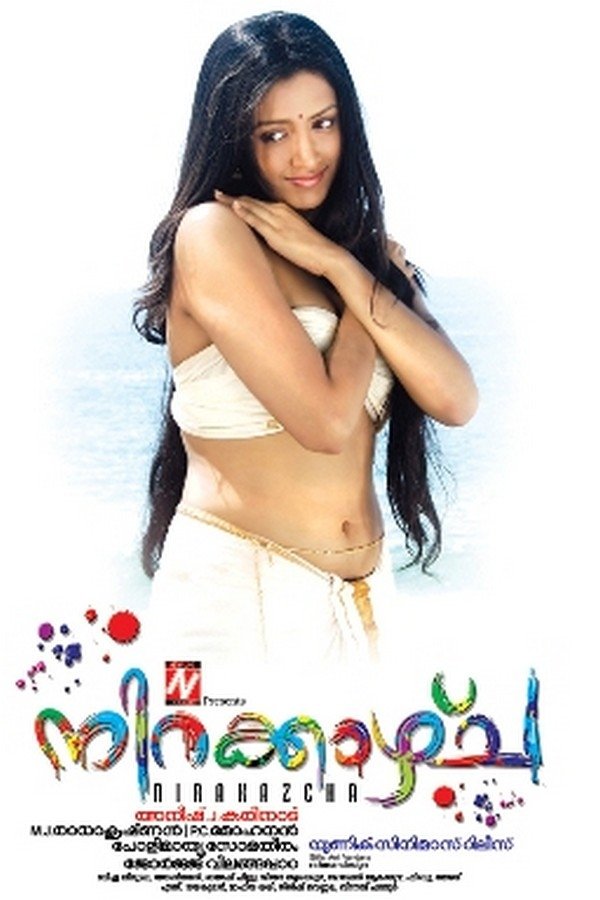 Nirakazhcha - Bild 1 von 4