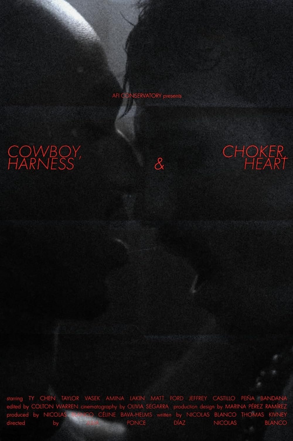Cowboy, Choker, Harness & Heart - Bild 1 von 2