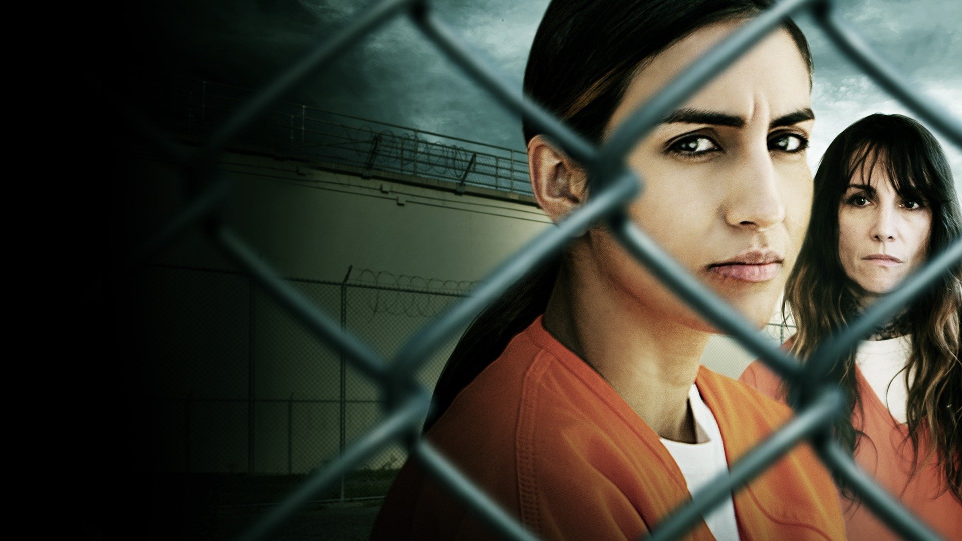 Thumbnail 5 von 5