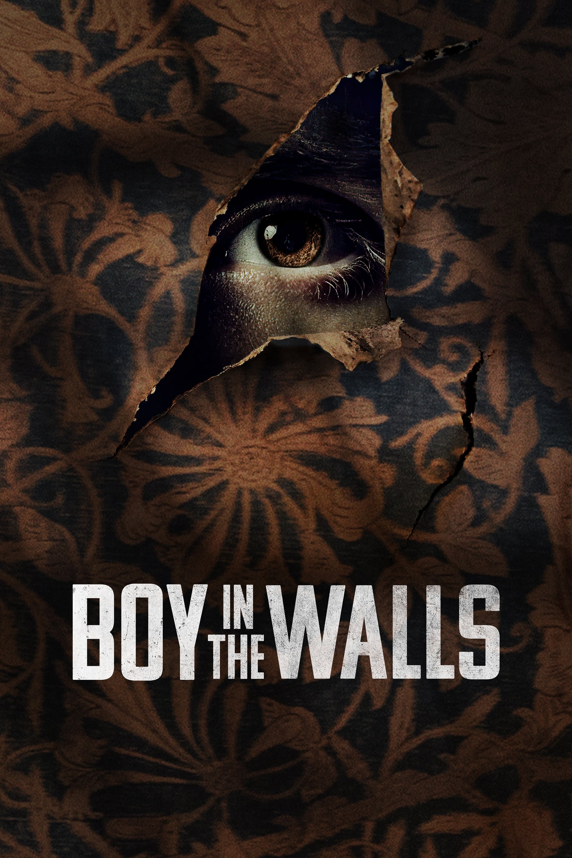 Boy in the Walls - Bild 1 von 6