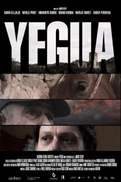 Yegua - Bild 1 von 2