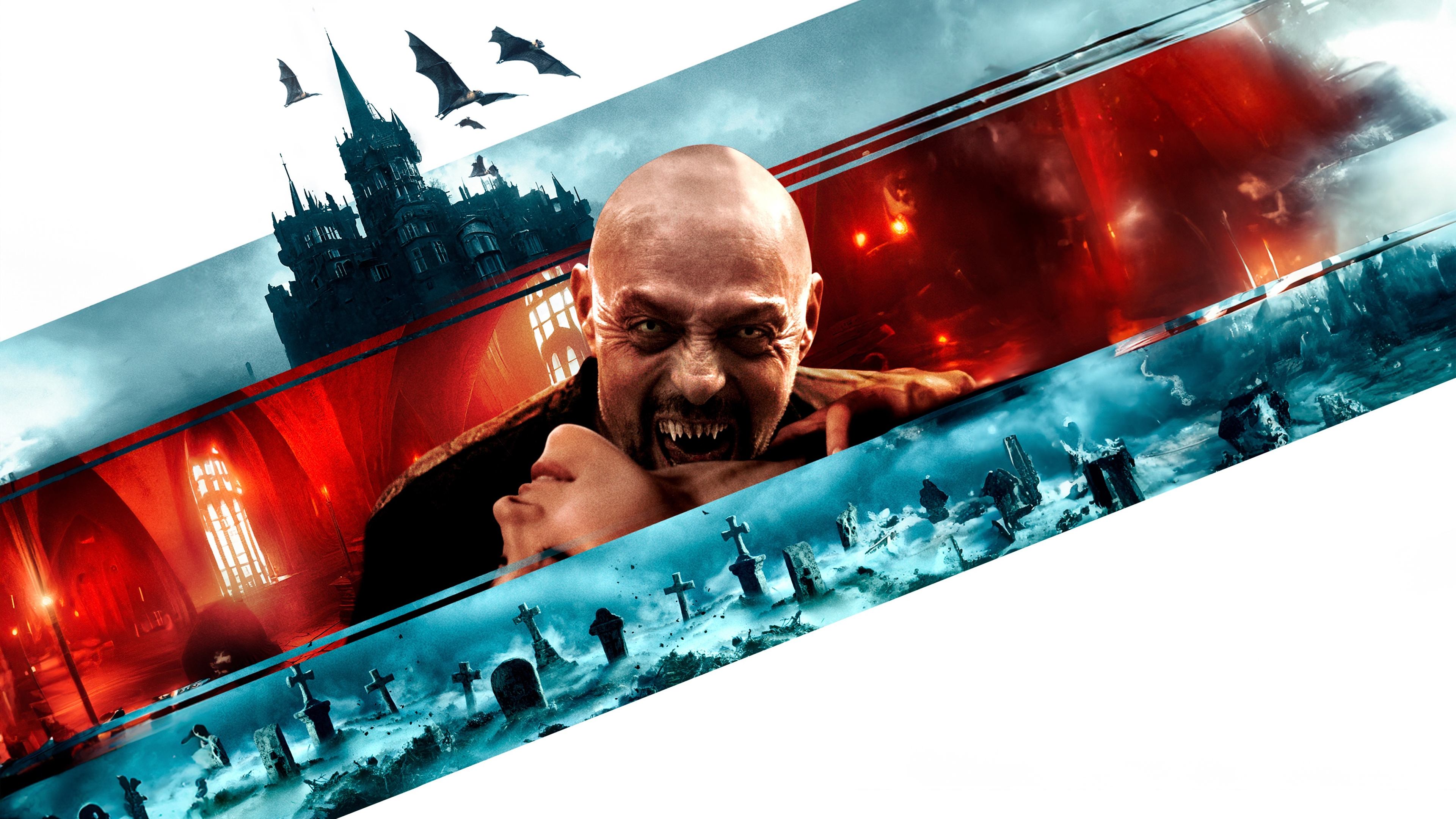 Thumbnail 4 von 11