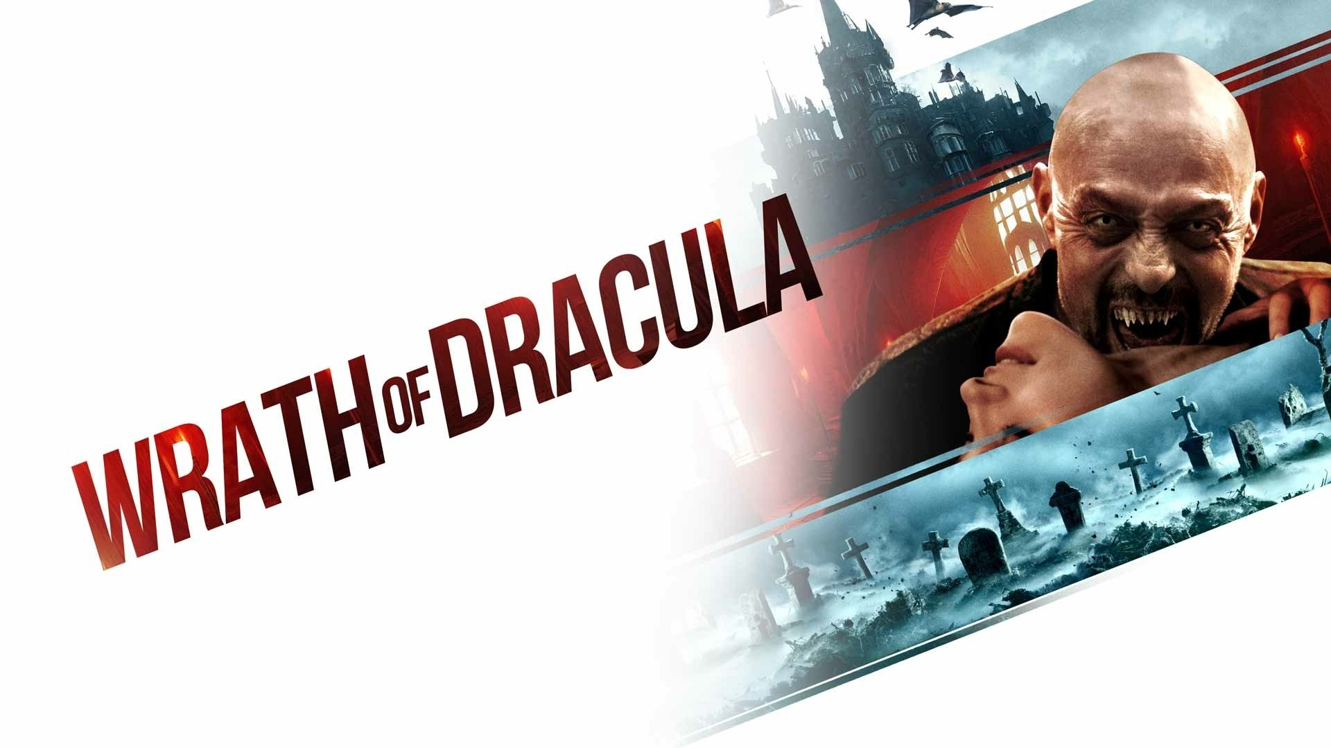 Thumbnail 2 von 11