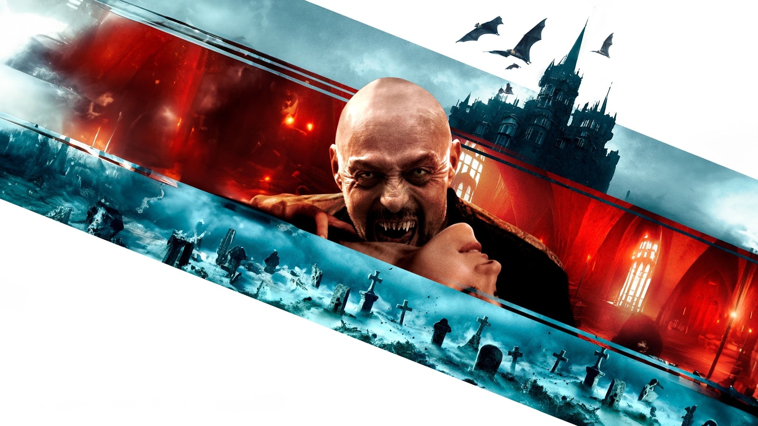 Thumbnail 11 von 11