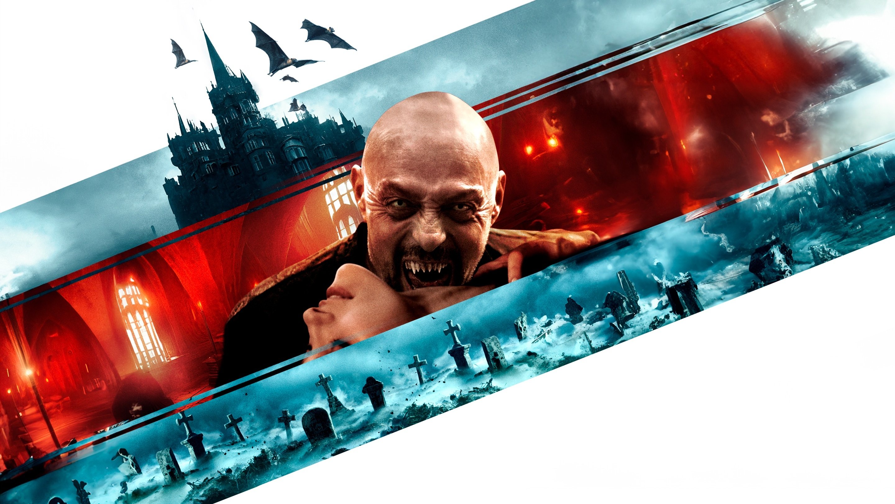 Thumbnail 5 von 11