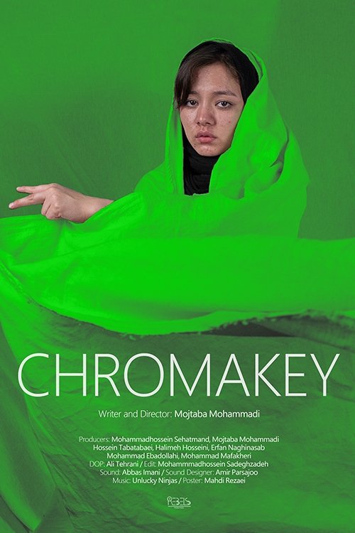 Chromakey - Bild 1 von 4