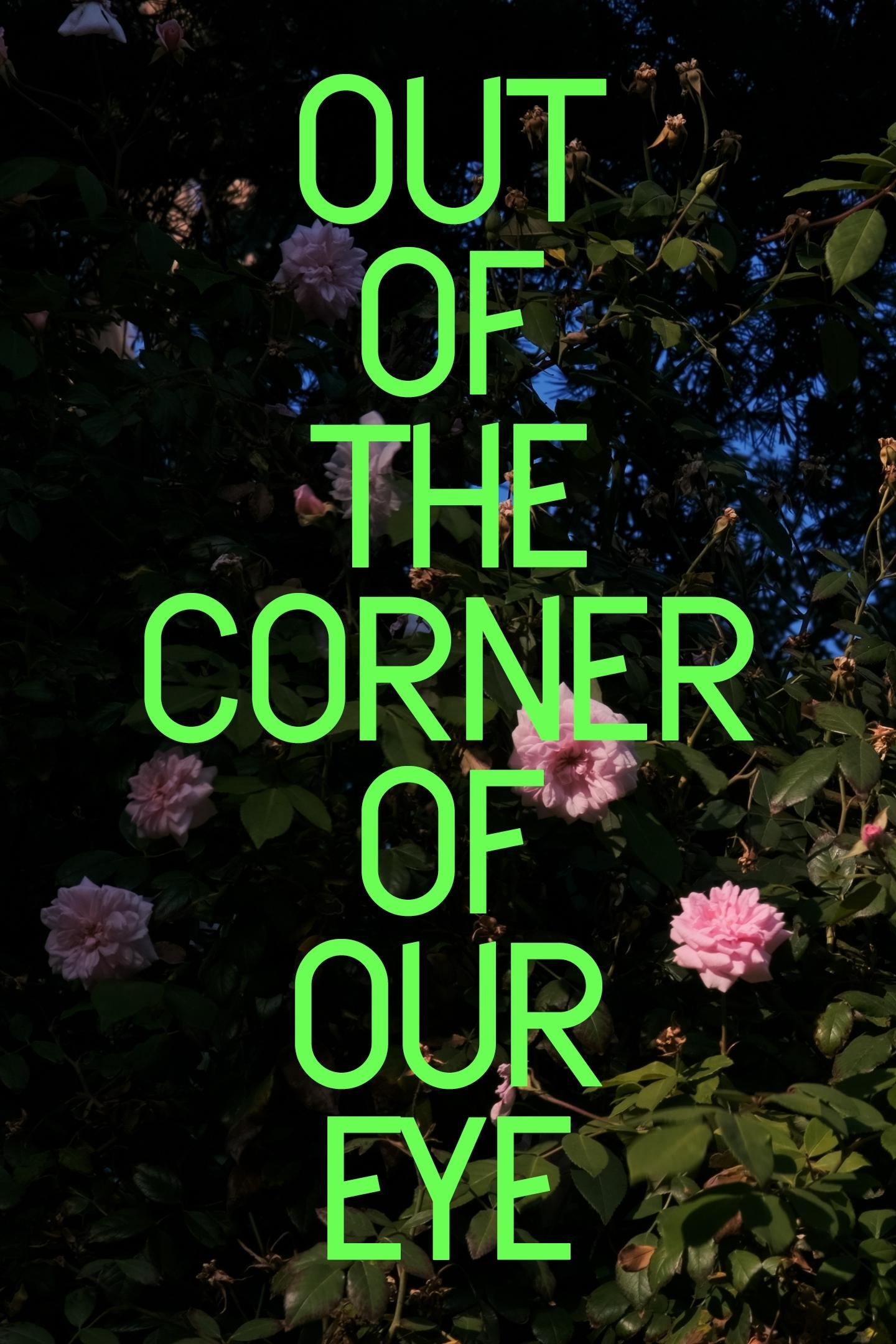 Out of the Corner of Our Eye - Bild 1 von 4