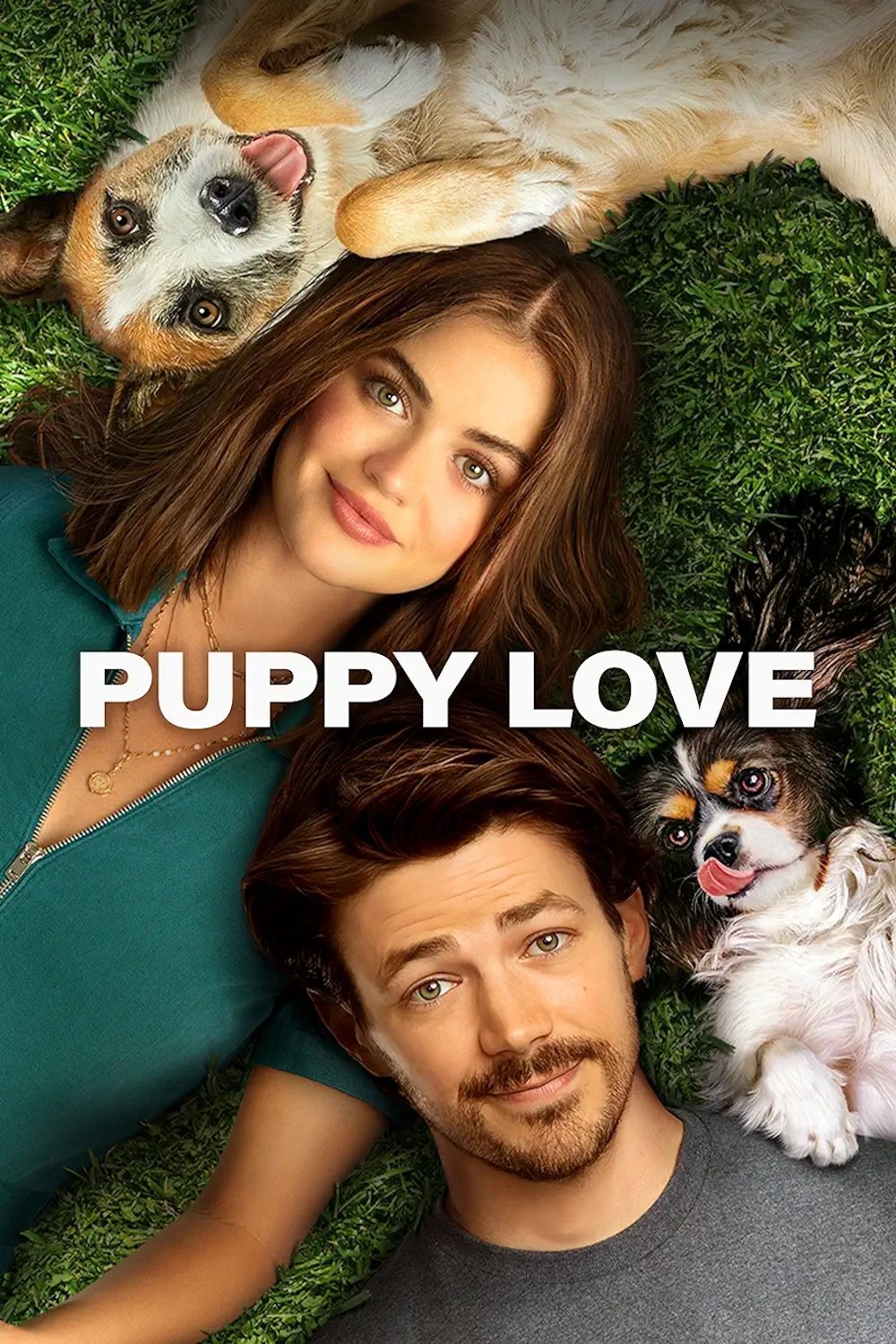 Puppy Love - Bild 1 von 11