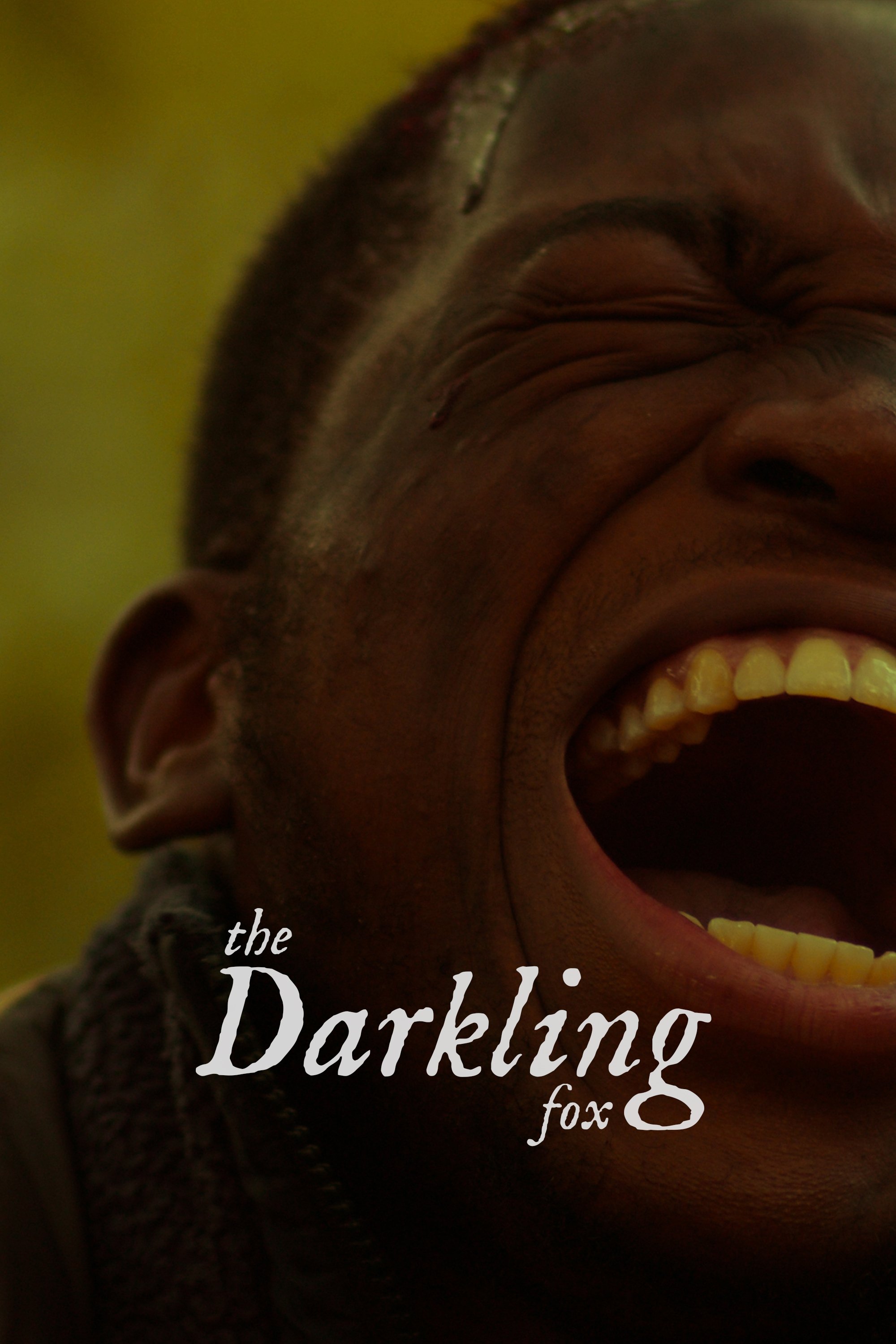 The Darkling Fox - Bild 1 von 8