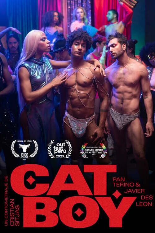 CatBoy - Bild 1 von 4