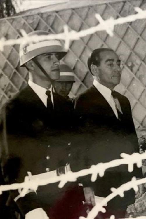Demirkırat: Island - Bild 1 von 4