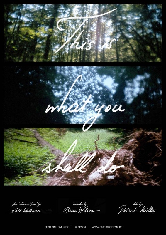 This Is What You Shall Do - Bild 1 von 2