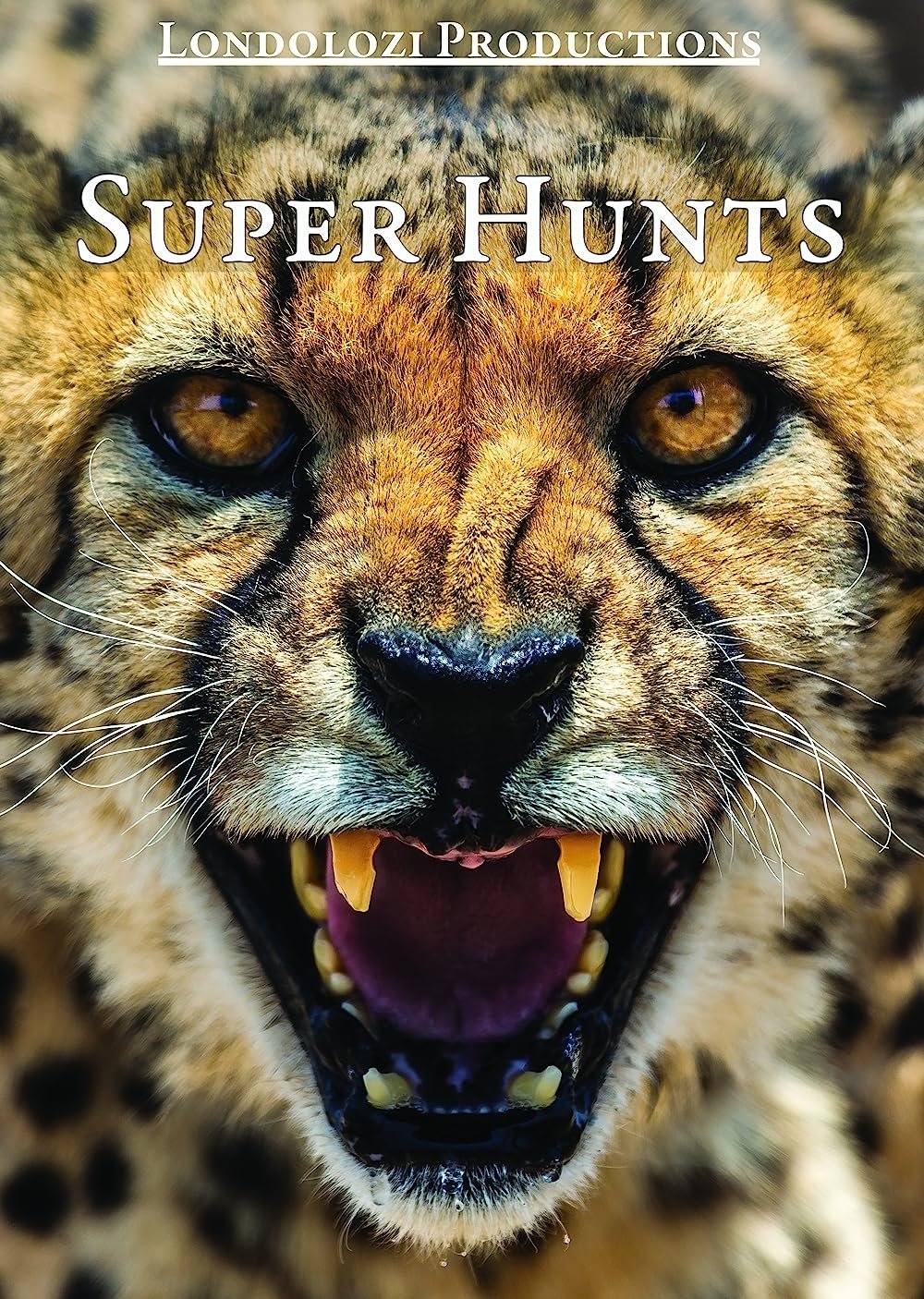 Super Hunts, Super Hunters - Bild 1 von 2