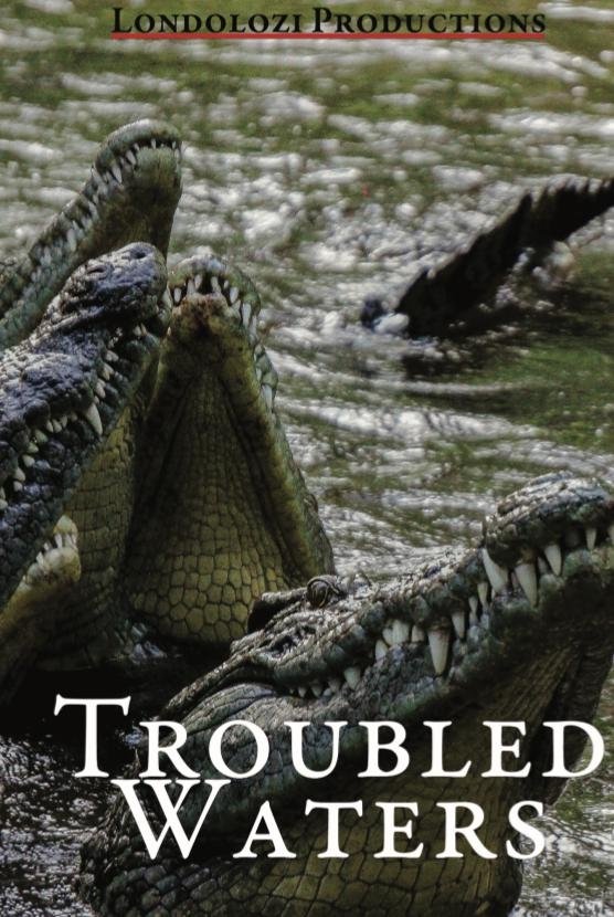 Troubled Waters - Bild 1 von 2