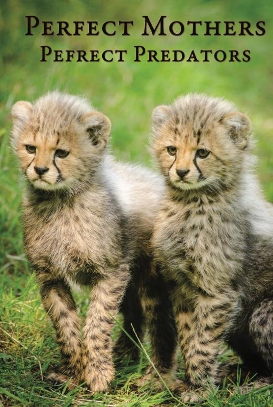 Perfect Mothers, Perfect Predators - Bild 1 von 2